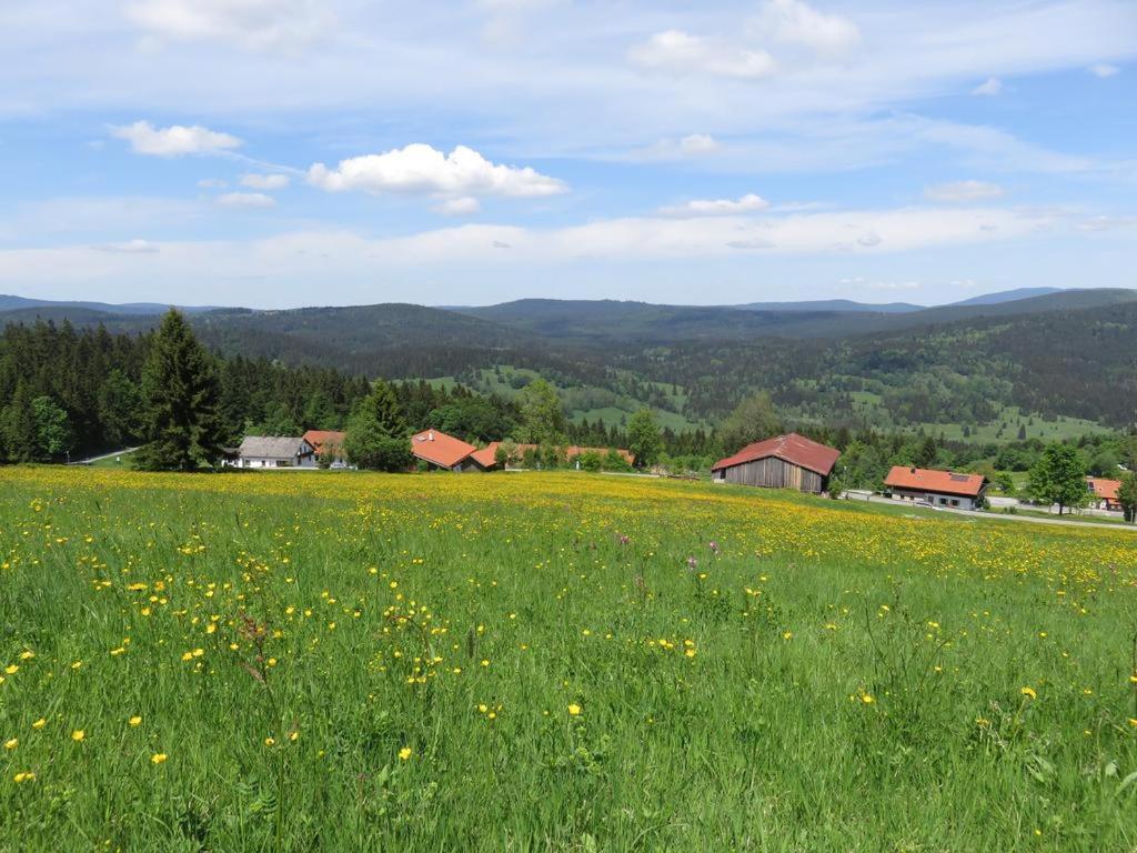 2 Zimmer Mitterdorf Philippsreut Eksteriør bilde
